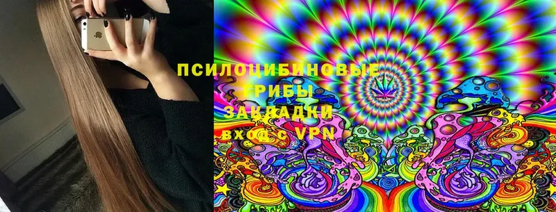 Псилоцибиновые грибы Cubensis  Артёмовск 